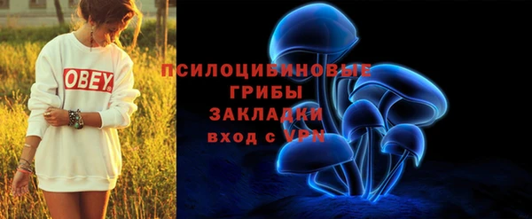 первитин Новодвинск