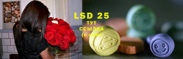первитин Новодвинск
