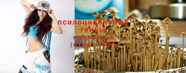 дживик Галич