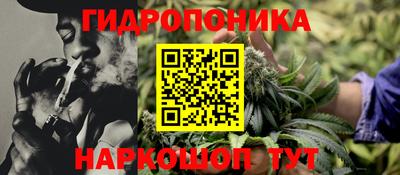 гидра Кимры