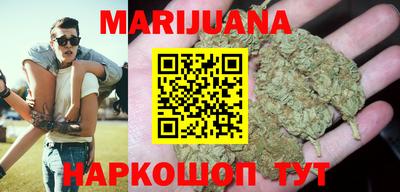 гидра Кимры