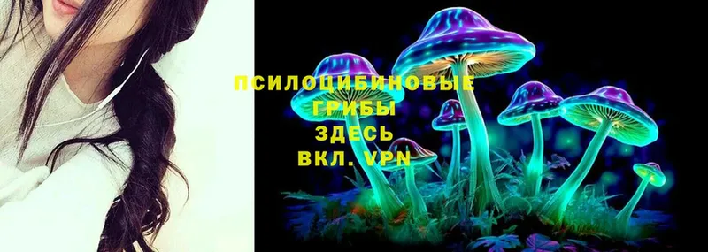 Галлюциногенные грибы MAGIC MUSHROOMS Искитим