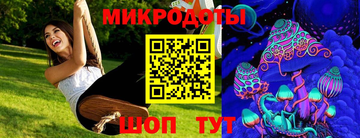 Галлюциногенные грибы Psilocybe Искитим