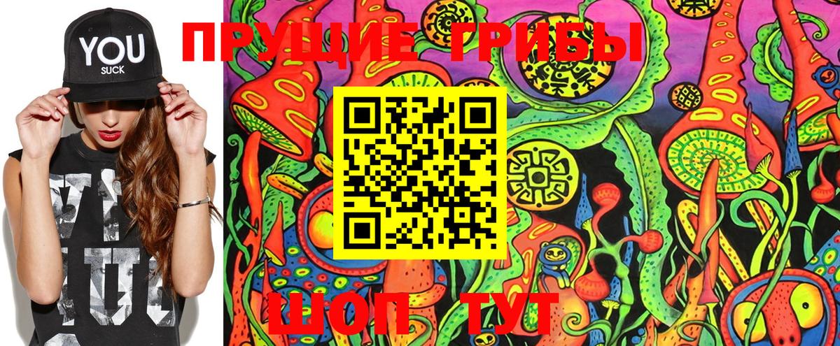 Псилоцибиновые грибы Cubensis Искитим