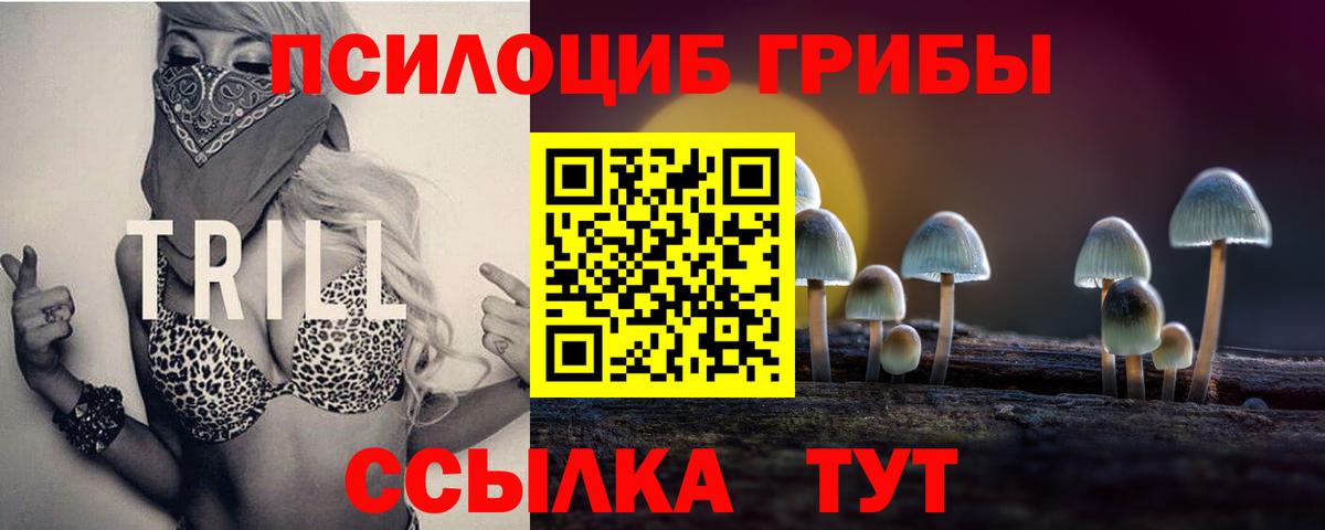 Искитим  Псилоцибиновые грибы прущие грибы  Вход с VPN 
