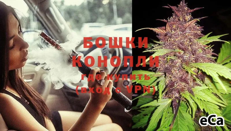 Бошки марихуана THC 21%  Искитим 